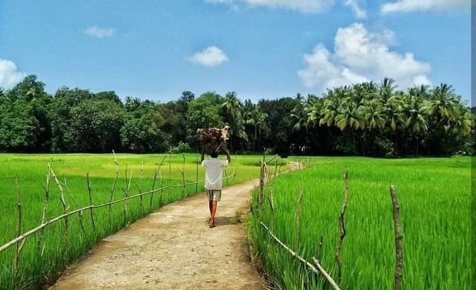 WhatsApp Image 2024-11-12 at 8.13.11 AM (2)